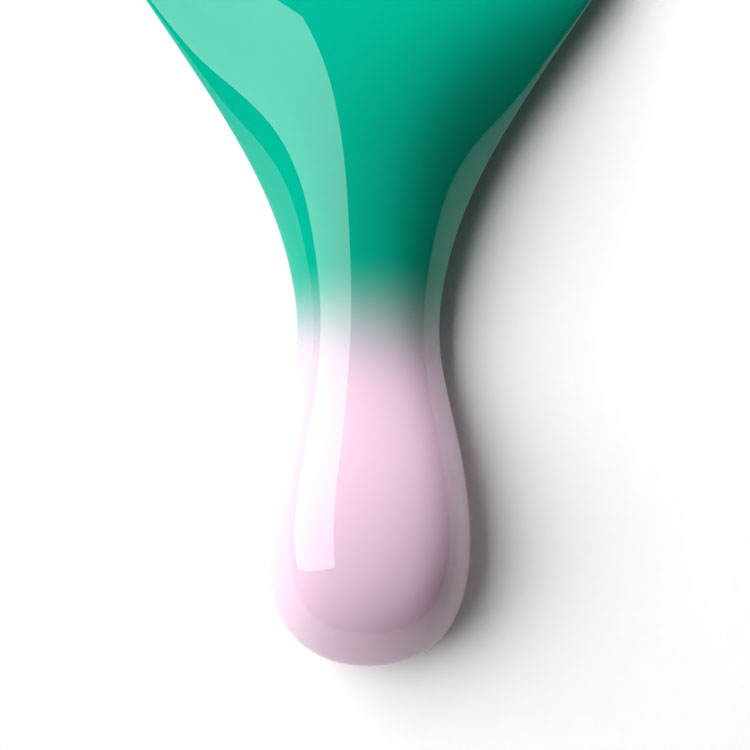 le chat Hummingbird Perfect Match Duo