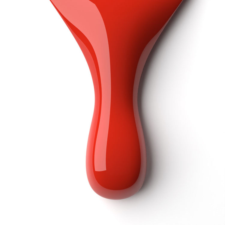 le chat Jack Rose Perfect Match Duo