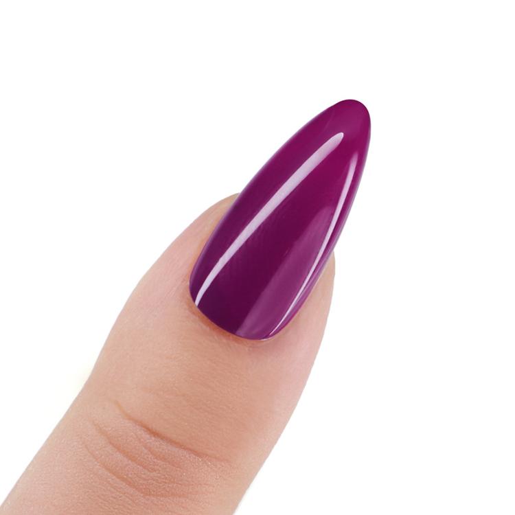 Le Chat Jamboree Perfect Match Pro Powder