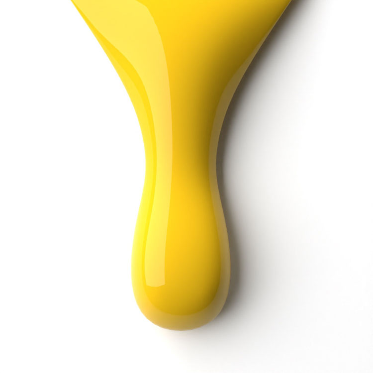 le chat Lemon Drop Perfect Match Duo