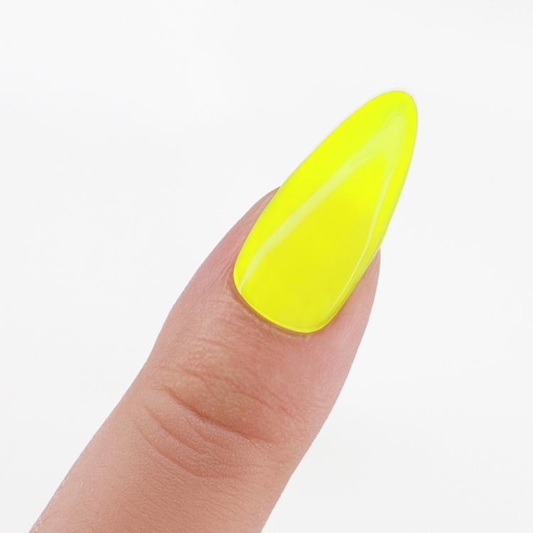 Le Chat Lemon Zest Perfect Match Pro Powder