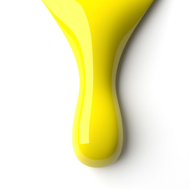 le chat Mellow Yellow Perfect Match Duo