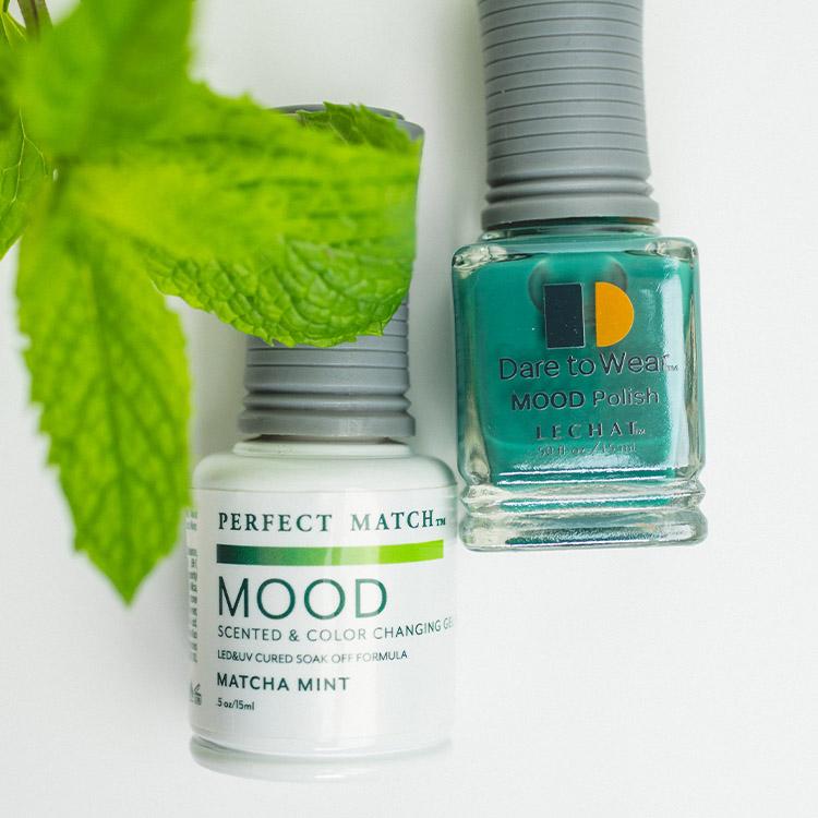 Le Chat Mood Cafe Scented Collection