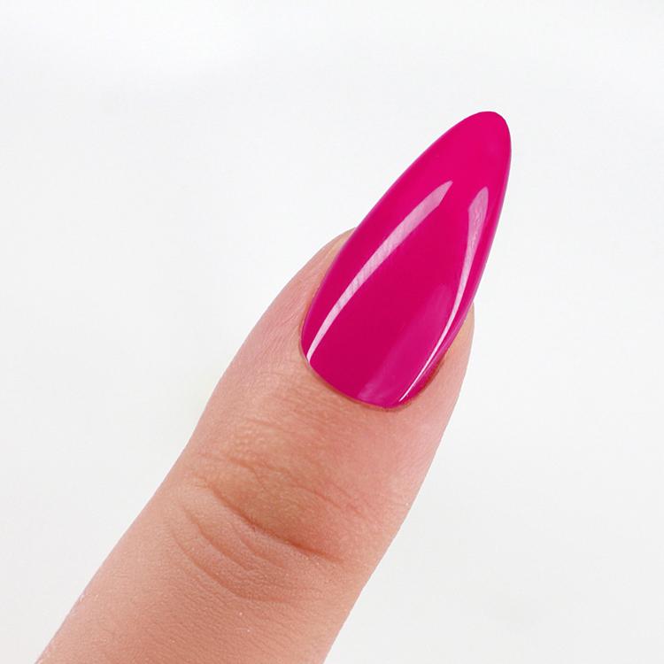 Le Chat Never Too Pink Perfect Match Pro Powder