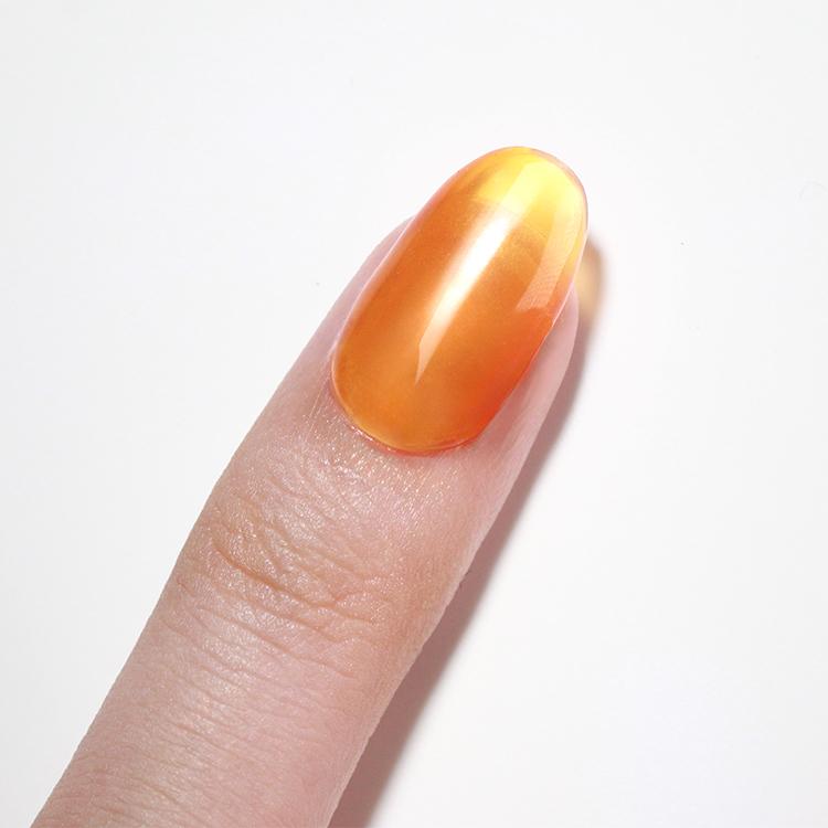 Le Chat Pepita Color & Top In One Coat