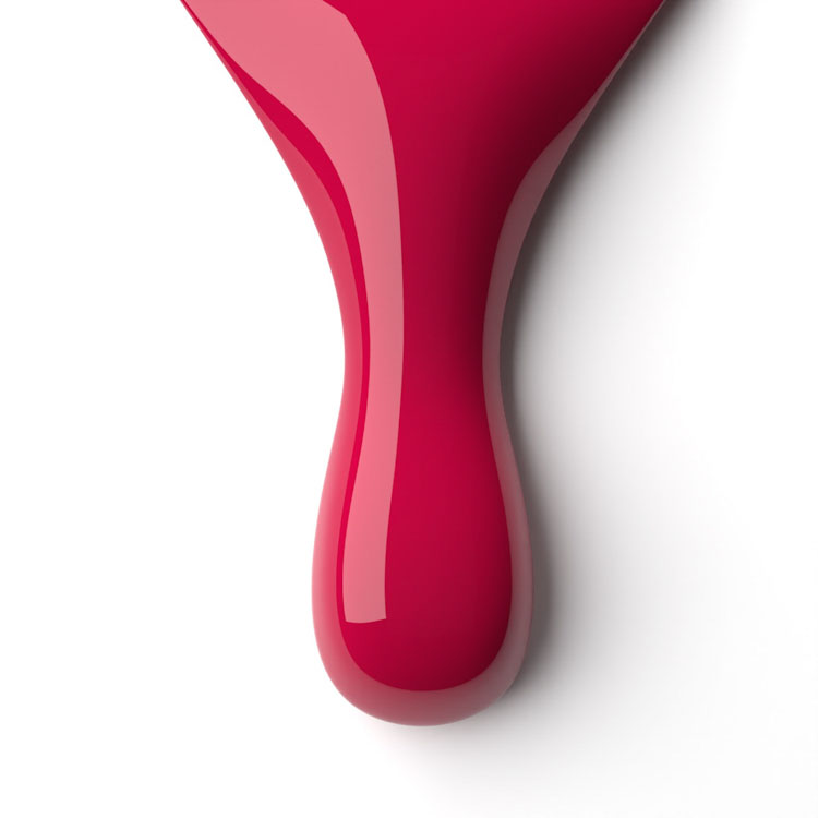 le chat Pink Gin Perfect Match Duo