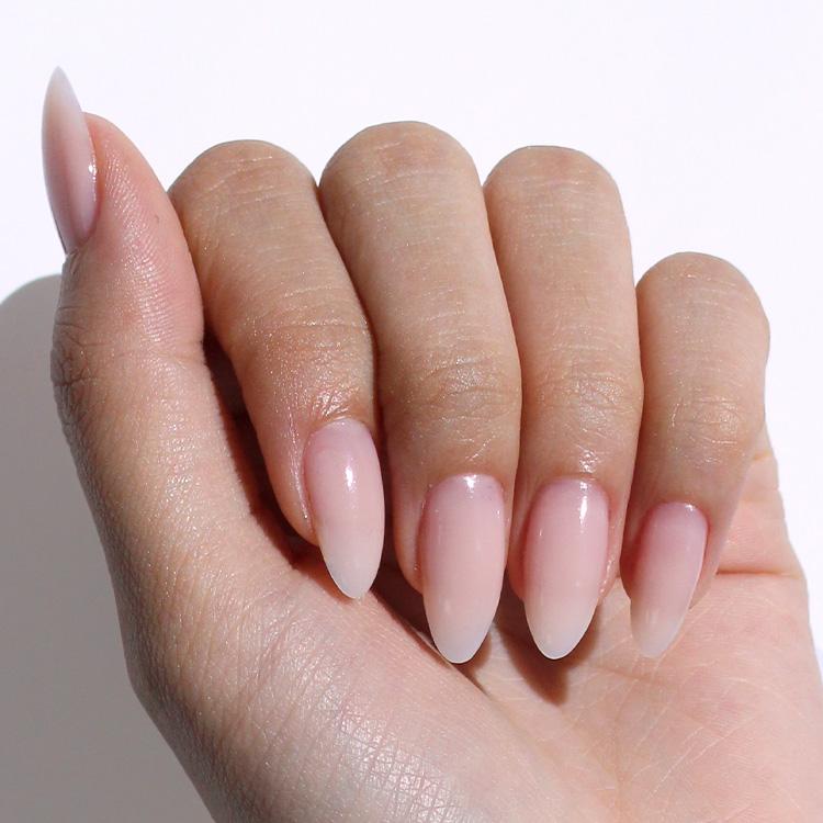 Le Chat Powder System Master Kit