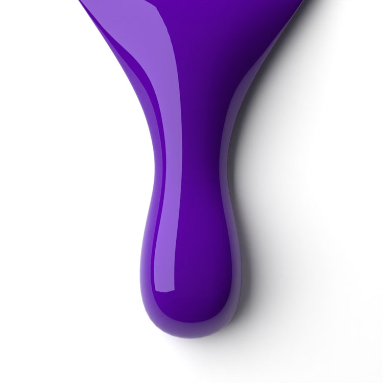 le chat Purple Craze Perfect Match Duo