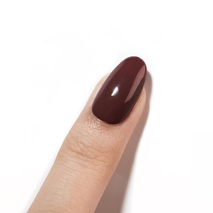 Le Chat Rich Love Color & Top In One Coat