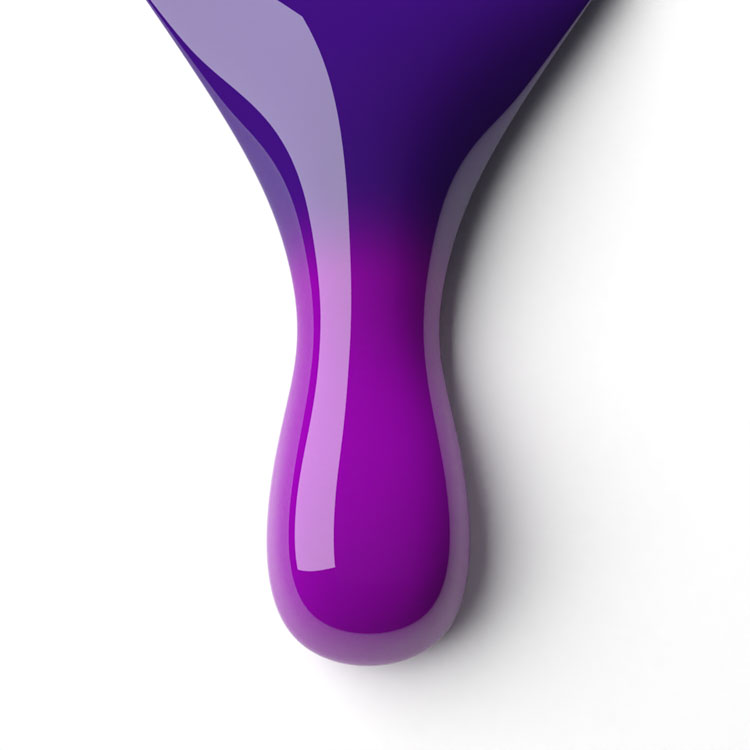 le chat Royal Orchid Perfect Match Duo