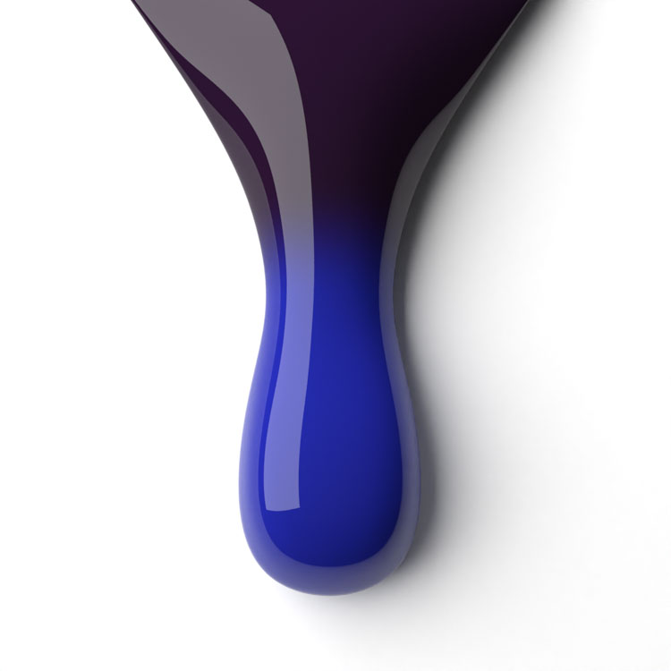 le chat Sapphire Night Perfect Match Duo