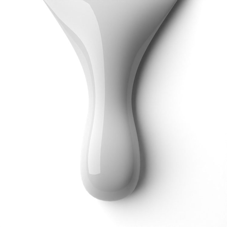 le chat Selene Perfect Match Duo