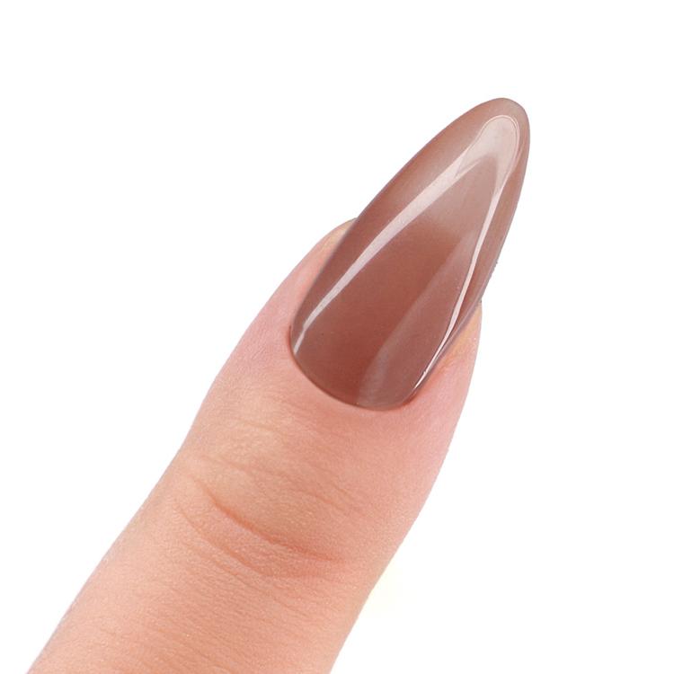 Le Chat Sequoia Perfect Match Pro Powder