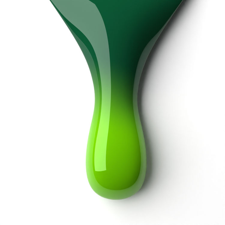 le chat Shamrock Perfect Match Duo