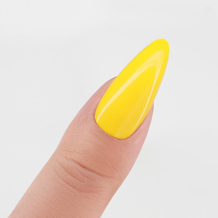 Le Chat Solar Power Perfect Match Pro Powder