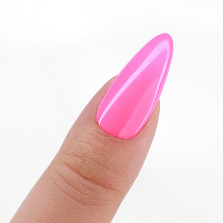 Le Chat Sold Out Show Perfect Match Pro Duo