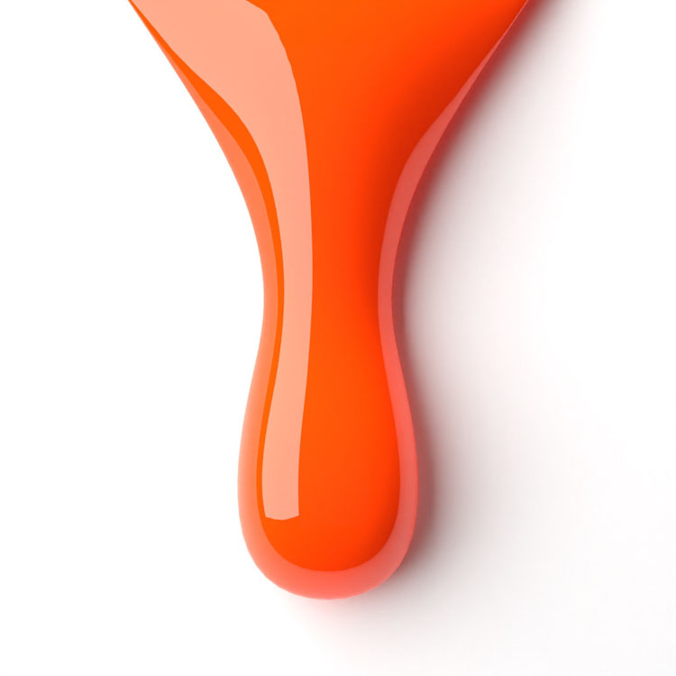 le chat Spotlight Perfect Match Duo