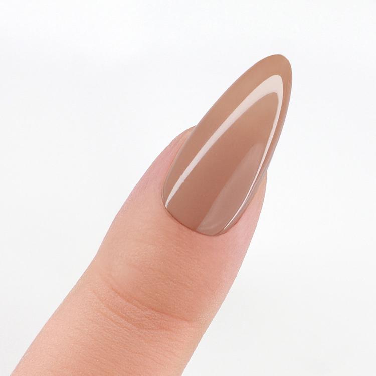 Le Chat Sticky Bun Perfect Match Pro Duo