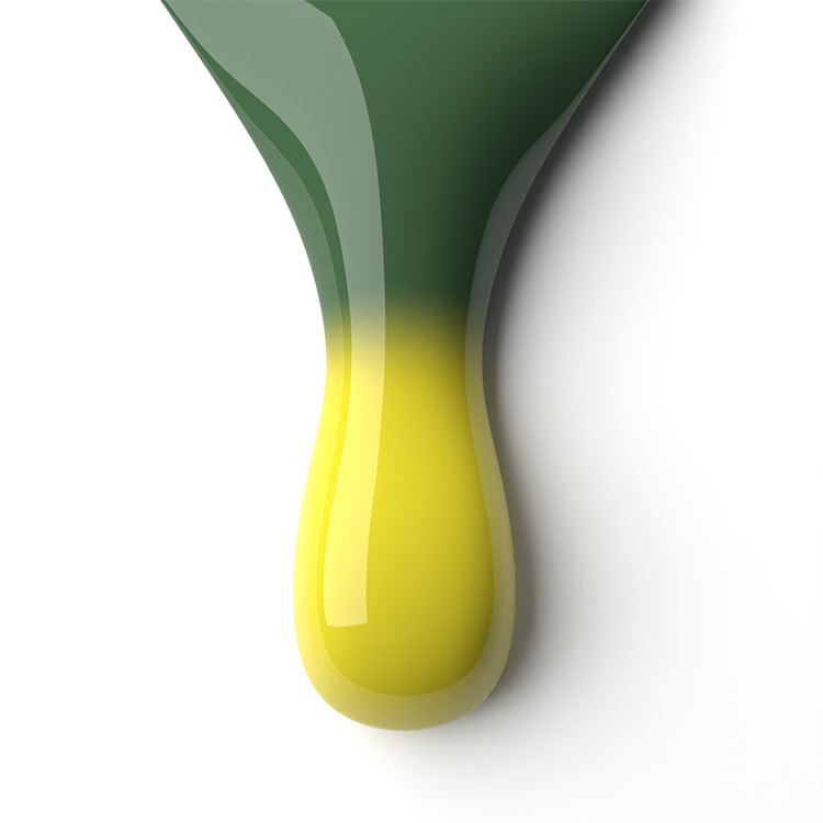 le chat Summer Camp Perfect Match Duo