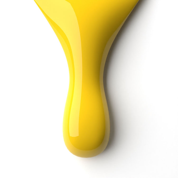 le chat Sunbeam Perfect Match Duo