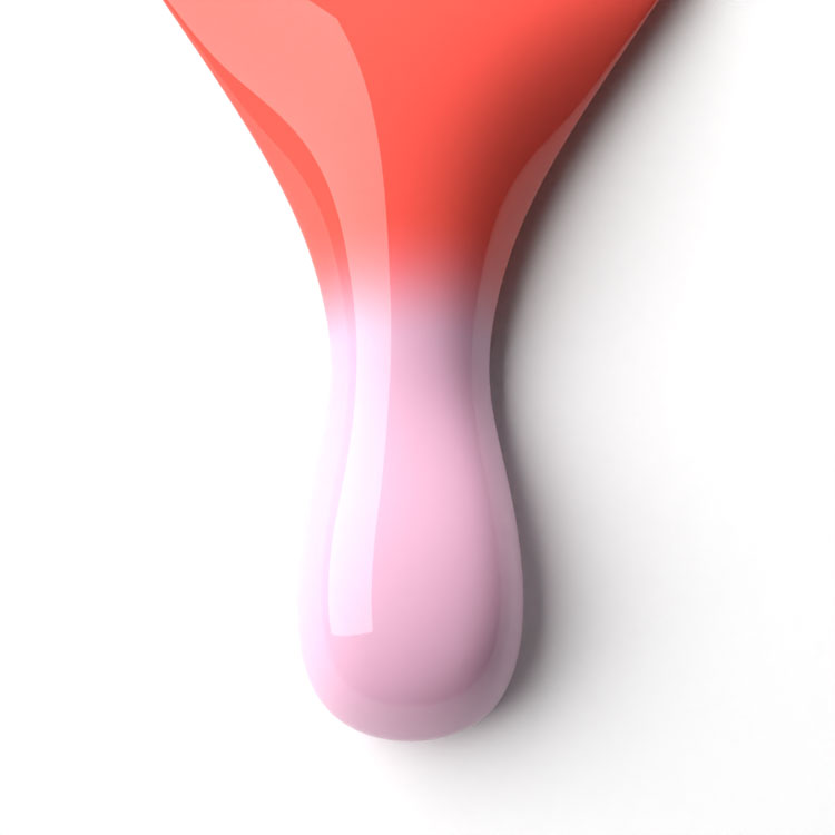 le chat Sundance Perfect Match Duo