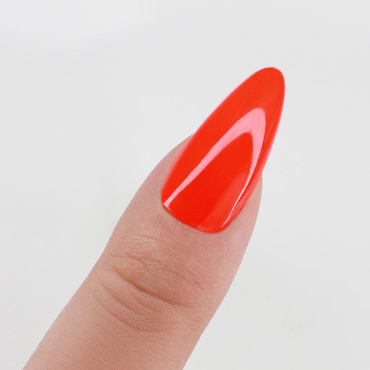 Le Chat Tangerine Pop Perfect Match Pro Duo