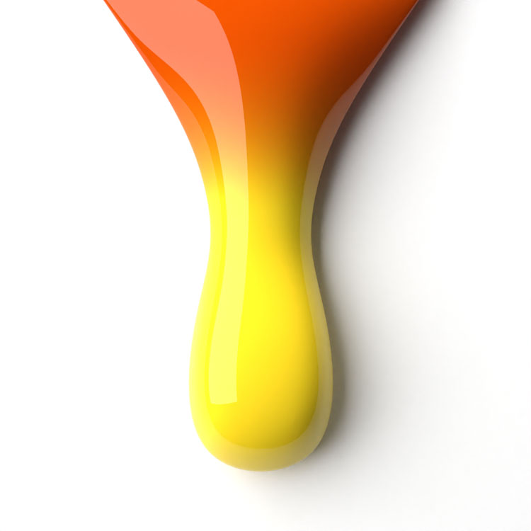 le chat Tangi Mango Perfect Match Duo