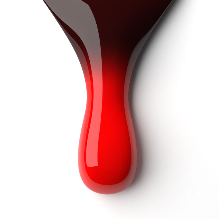 le chat Timeless Ruby Perfect Match Duo