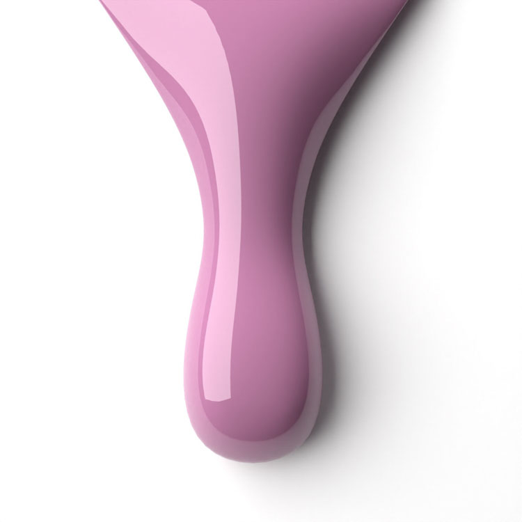 le chat Violet Rose Perfect Match Duo