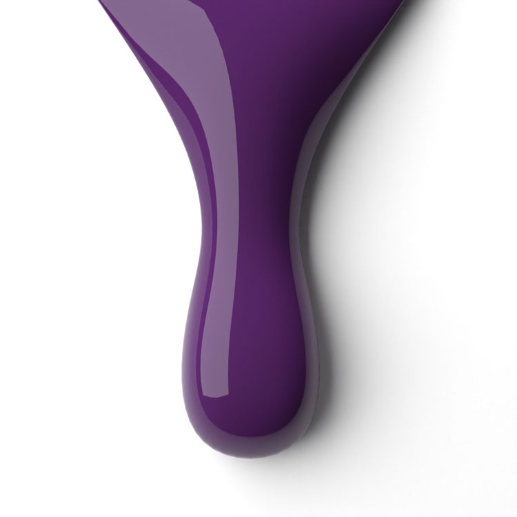 le chat Violetta Perfect Match Duo