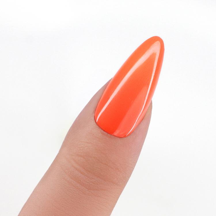 Le Chat West Sunrise Perfect Match Pro Duo