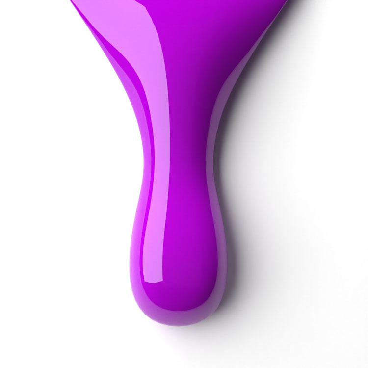 le chat Wild & Free Perfect Match Duo