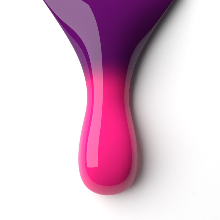 le chat Wine Berry Perfect Match Duo