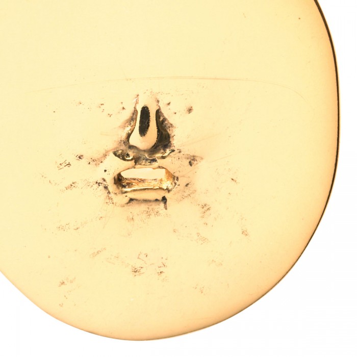 Le Noir Cortina Brass Earrings