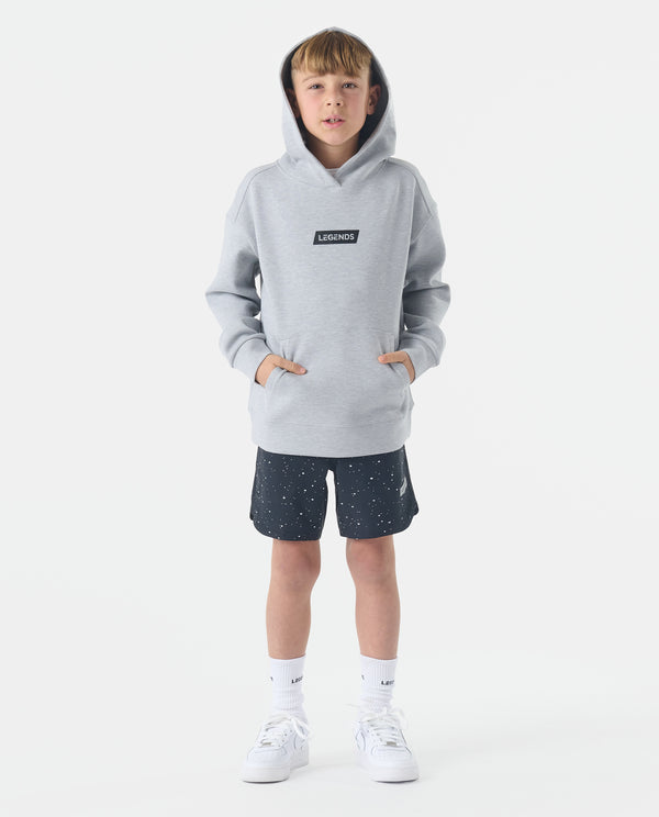 Legends Little Legends Ziggy Hoodie Heather Gray