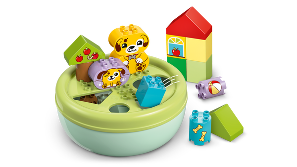 Lego Shape Sorter: Puppy House
