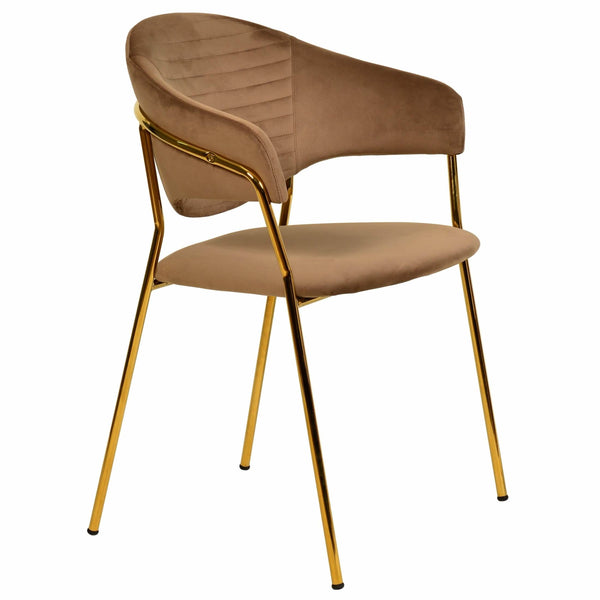 leisure mod Bella Dining Chair Upholsted in Leather or Velvet in Gold Stainless Steel