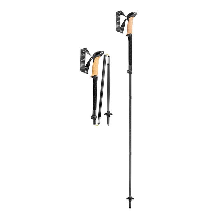 leki BLACK SERIES FX CARBON Poles