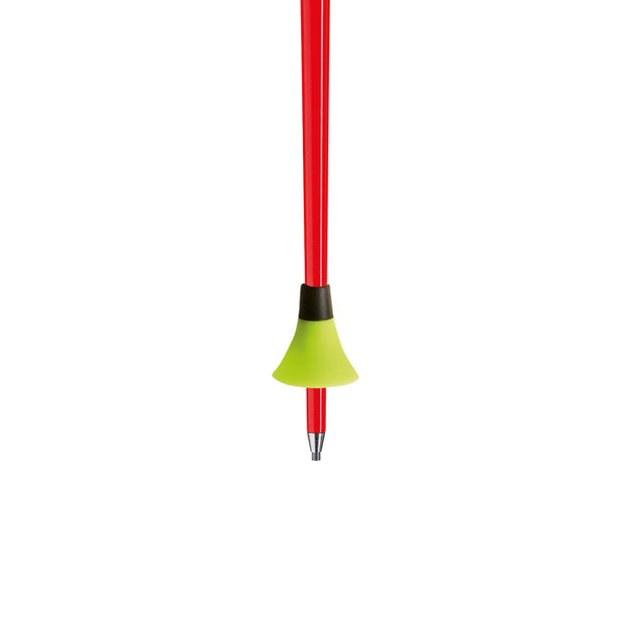 Leki WCR GS 3D Poles