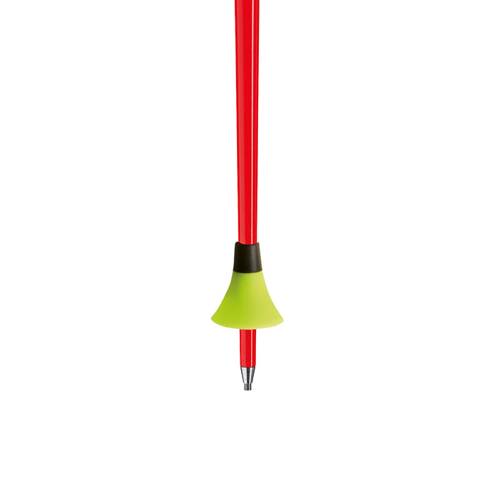Leki WCR TBS GS 3D Poles