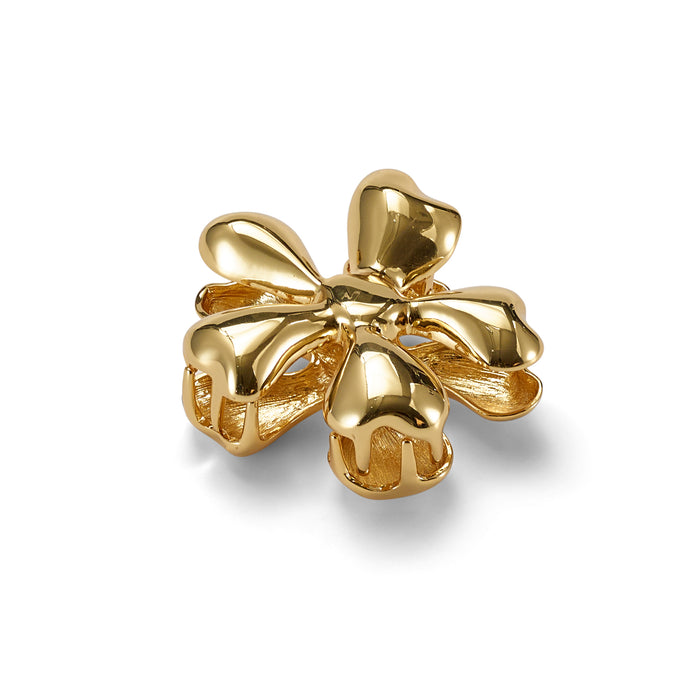 lelet ny Glossy Daisy Mini Claw Clip