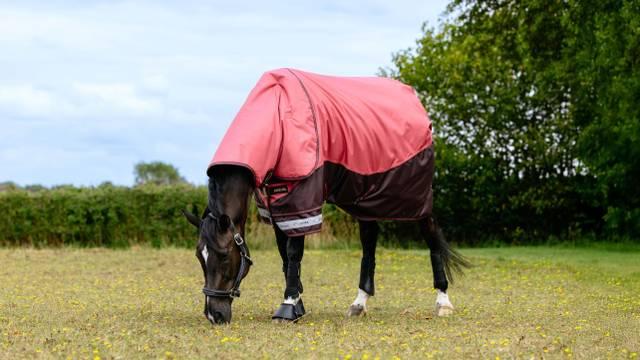 lemieux Arika Ripstop 200g Turnout Blanket Cranberry