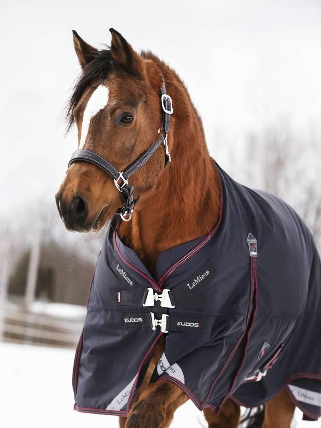 Lemieux Kudos Turnout Blanket 200g Navy (without Leg Straps)
