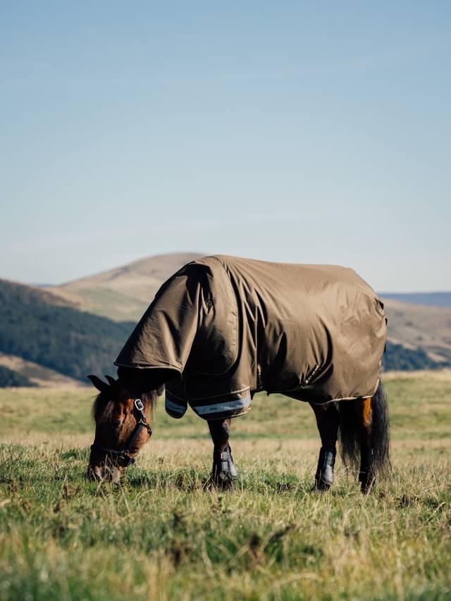 Lemieux Arika Ripstop 0g Turnout Blanket Alpine