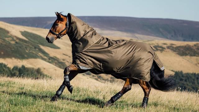 lemieux Arika Ripstop 0g Turnout Blanket Alpine