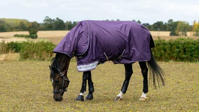 lemieux Arika Ripstop 0g Turnout Blanket Juniper