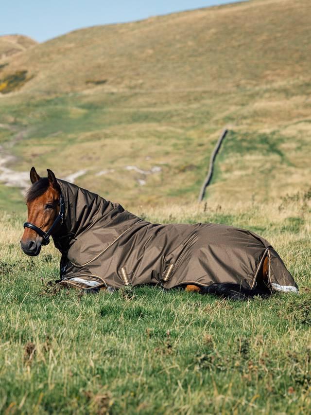 Lemieux Arika Ripstop 100g Turnout Blanket Alpine