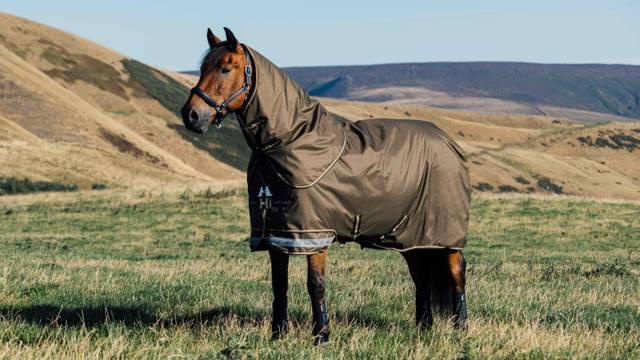 lemieux Arika Ripstop 100g Turnout Blanket Alpine