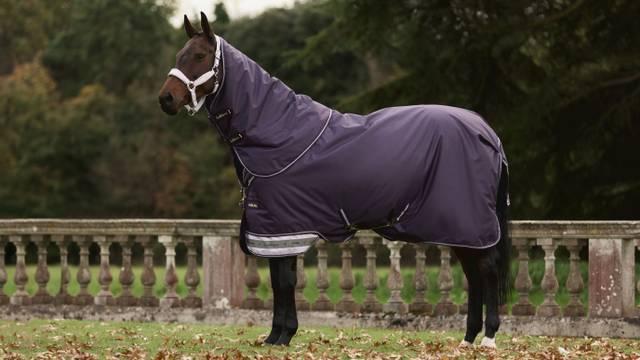 lemieux Arika Ripstop 100g Turnout Blanket Juniper