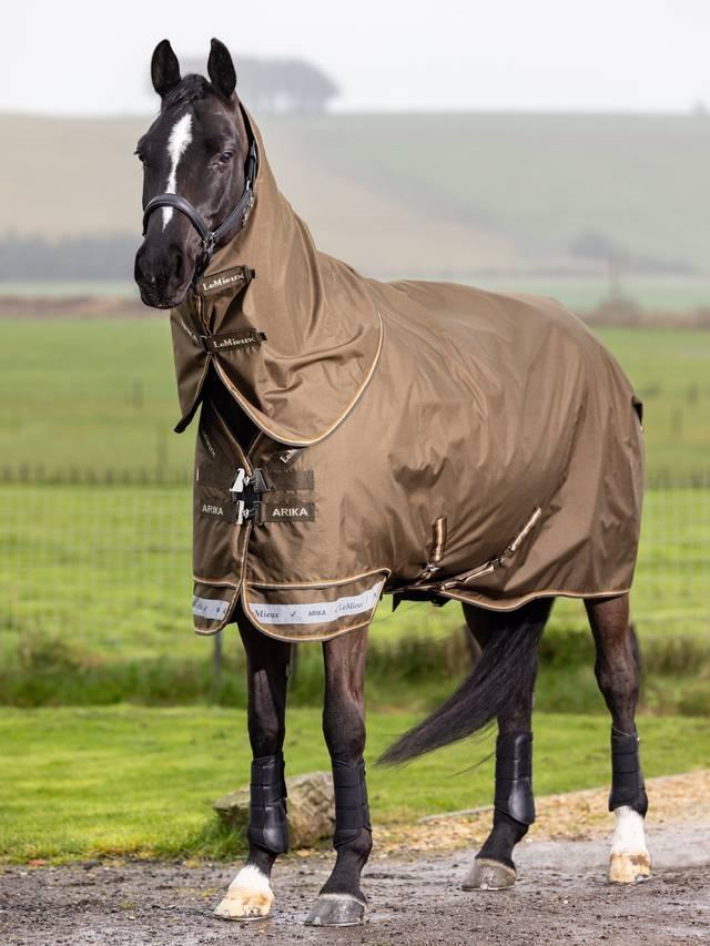 Lemieux Arika Ripstop 50g Turnout Blanket Alpine